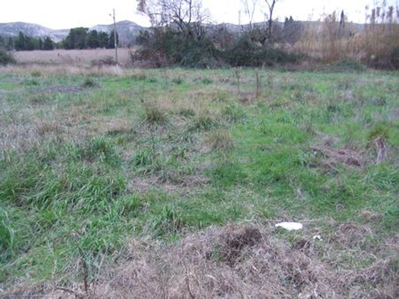 Vente terrains St Victoret 13730  Pour construction à usage professionnel