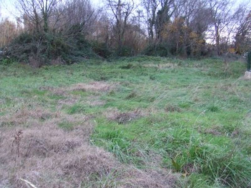 Vente terrains St Victoret 13730  pour usage professionnel